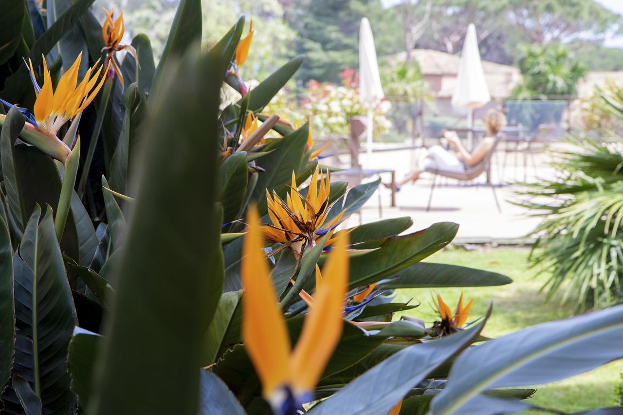 Hotel Les Jardins De Сент-Максим Экстерьер фото